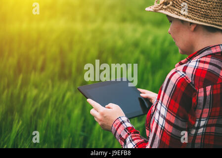 Bäuerin mit Tablet-PC in Ernte Roggenfeld, Konzept der Moderne intelligente Landwirtschaft mit Elektronik, Technik und mobile apps in agricultura Stockfoto