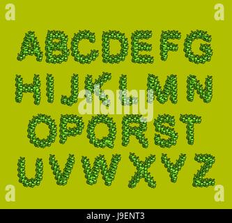 Schriftart-grüne Blätter. Eco-Alphabet. Briefe aus dem Baum Blätter Stock Vektor