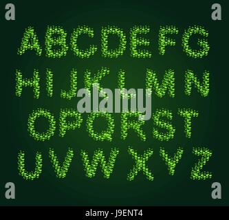 Schriftart-grüne Blätter. Eco-Alphabet. Briefe aus dem Baum Blätter Stock Vektor