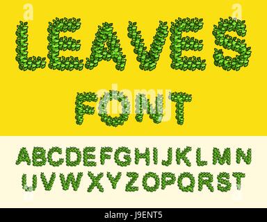 Schriftart-grüne Blätter. Eco-Alphabet. Briefe aus dem Baum Blätter Stock Vektor