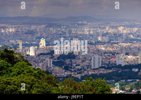 Sao Paulo vom Atlantischen Regenwald in Serra da Cantareira State Park Stockfoto