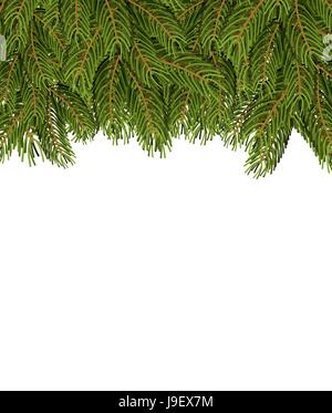 Tannenzweigen auf weißen Blatt. Weihnachten Hintergrund für Glückwünsche. Baum und Platz für Ihren Text. Stock Vektor