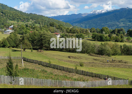 Georgische Leute arbeiten in Feld, bukolische Landschaft, Lashtkhveri, Svaneti Region, Kaukasus, Georgien Stockfoto