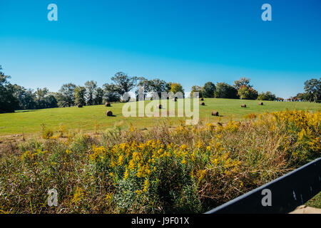Gerollt querhölzer Heuballen auf einem Bauernhof Feld in ländlichen Alabama sitzen. Stockfoto