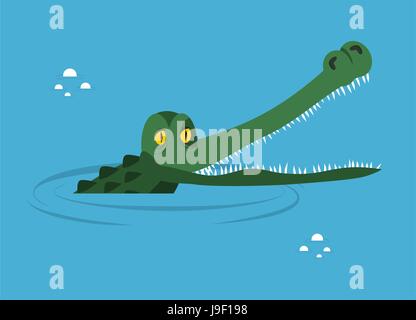 Krokodil im Wasser. großer Alligator im Sumpf. Niedliche Kaimane Kopf im Wasserbecken. Wildtier afrikanischer. Großes Wasser Reptilien. Große afrikanische Raubtier. Tropi Stock Vektor