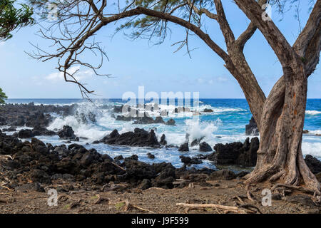 Brechenden Wellen über Lava Felsenküste auf der Straße nach Hana, auf der Halbinsel Keanae. Stockfoto