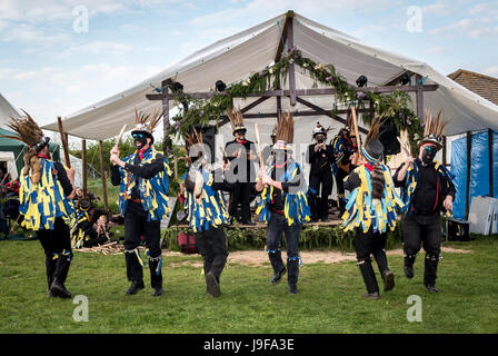 Die Haken Eagle Morris Männer unterhalten die Massen mit Tanz auf der entsprungen Festival in Butser Ancient Farm, Hampshire Stockfoto