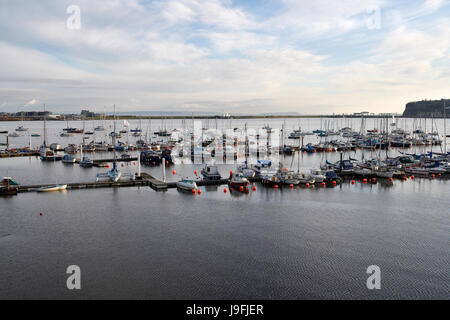 Boote, die in der Marina von Cardiff Bay in Wales vor Ort liegen Stockfoto