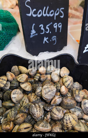 Kg Preis/kg Tag Vorstand & Auswahl der nasse Fisch/Jakobsmuscheln an der Markthalle Abwürgen/Stände von West Quay, Hafen Whitstable, Kent GROSSBRITANNIEN. Stockfoto