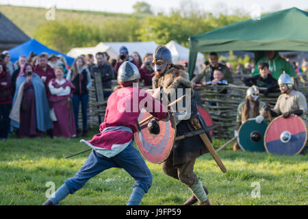 Herigeas Hundus oder Hunde des Krieges, eine sächsische Reenactment-Gruppe, zu demonstrieren, Schwert und Schild kämpfen auf dem entsprungen Festival auf Butser Ancient Farm Stockfoto