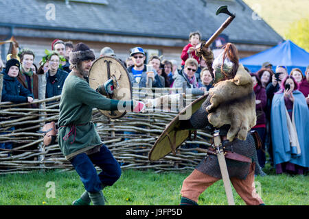 Herigeas Hundus oder Hunde des Krieges, eine sächsische Reenactment-Gruppe, zu demonstrieren, Schwert und Schild kämpfen auf dem entsprungen Festival auf Butser Ancient Farm Stockfoto