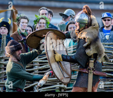 Herigeas Hundus oder Hunde des Krieges, eine sächsische Reenactment-Gruppe, zu demonstrieren, Schwert und Schild kämpfen auf dem entsprungen Festival auf Butser Ancient Farm Stockfoto