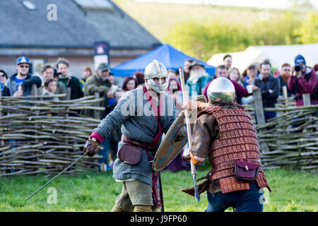 Herigeas Hundus oder Hunde des Krieges, eine sächsische Reenactment-Gruppe, zu demonstrieren, Schwert und Schild kämpfen auf dem entsprungen Festival auf Butser Ancient Farm Stockfoto