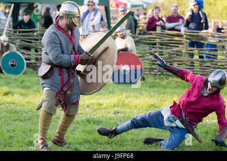 Herigeas Hundus oder Hunde des Krieges, eine sächsische Reenactment-Gruppe, zu demonstrieren, Schwert und Schild kämpfen auf dem entsprungen Festival auf Butser Ancient Farm Stockfoto