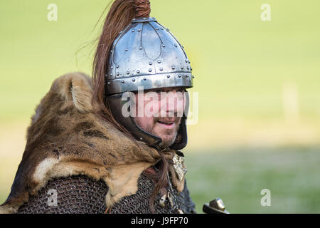 Herigeas Hundus oder Hunde des Krieges, eine sächsische Reenactment-Gruppe, zu demonstrieren, Schwert und Schild kämpfen auf dem entsprungen Festival auf Butser Ancient Farm Stockfoto