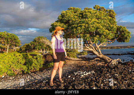 Frau mit Reiseführer bewundert Ansichten entlang Küste in der Anaehoomalu Bay in Waikoloa Stockfoto