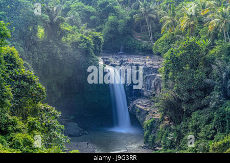 Terjun Blangsinga Wasserfall, Ubud, Bali, Indonesien, Asien Stockfoto