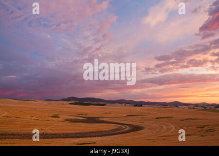 Goldene Muster nach die Ernte der Weizenfelder und stürmischen Overhead bei Sonnenaufgang in der Palouse landwirtschaftlich geprägten Region von Washington Himmel. Sommer. USA Stockfoto