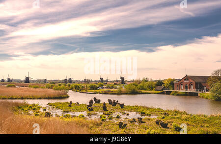 Windmühlen von Kinderdijk Niederlande zum UNESCO-Weltkulturerbe-Landschaft Stockfoto