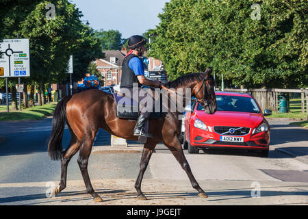 England, East Anglia, Suffolk, Newmarket, Rennpferd Kreuzung Straße, Stockfoto