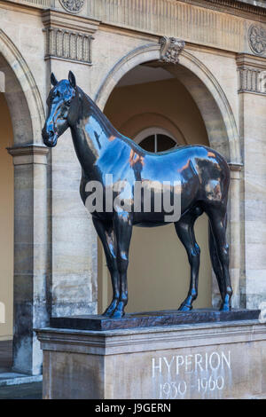 England, East Anglia, Suffolk, Newmarket, National Horseracing Museum, Statue von Hyperion, Stockfoto