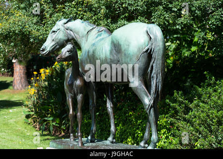 Sydney Botanical Gardens, New-South.Wales, Australien. Stockfoto