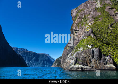 Malerische Aussicht von Milford Sound Fiordland, Südinsel, Neuseeland Stockfoto