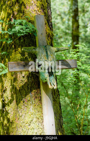 Verrückte Wald Installation durch exzentrischen Künstlers George Sawchuk, Fanny Bay, British Columbia, Kanada. Stockfoto