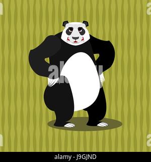 Panda wütend. Wütende Chinesen tragen. Tier wütend. Aggressive wildes Tier Stock Vektor