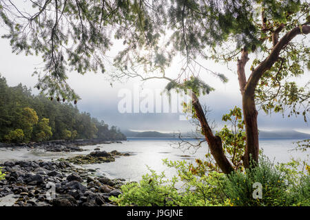 Blick auf Küste, East Sooke Regional Park, Vancouver Island, British Columbia, Kanada. Stockfoto