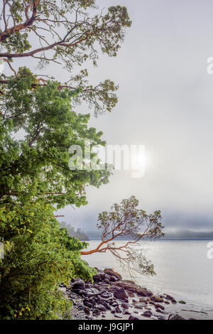 East Sooke Regionalpark, Vancouver Island, British Columbia, Kanada. Stockfoto