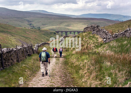 Wanderer auf einer alten Viehtreiber Straße, jetzt der Pennine Bridleway bei nachbarschaftlich Gill. Dentdale, Yorkshire Dales National Park, UK Stockfoto