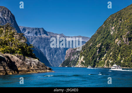 Malerische Aussicht auf Boot schwimmen obwohl Milford Sound Fiordland, Südinsel, Neuseeland Stockfoto