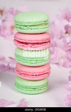 Traditionelle französische Macarons mit Zweigen von sakura Stockfoto