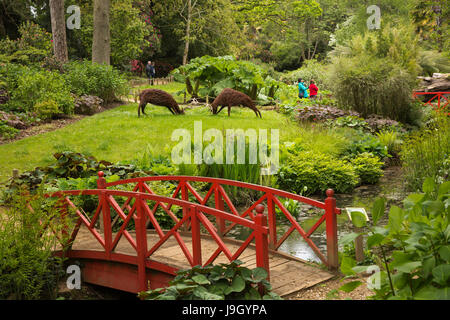 UK England, Dorset, Abbotsbury, Sub-tropische Gärten, Jo Sadlers Spurrinnenbildung Hirsche Weide in der Nähe von orientalischen Brücke Skulptur Stockfoto