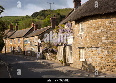 UK England, Dorset, Abbotsbury, Market Street, Glyzinien verkleidet Tee Zimmer und Dorf-shop Stockfoto