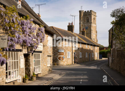 UK England, Dorset, Abbotsbury, Market Street, Glyzinien bekleideten Teestube und Pfarrkirche St. Nikolaus Stockfoto