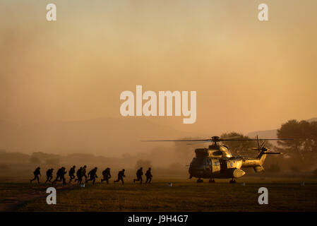 Makhado, Südafrika. 1. Juni 2017. Mitglieder der südafrikanischen Armee bewegen, ein Oryx-Hubschrauber von der South African Air Force (SAAF) während der 2017 Air Fähigkeit Demonstration nächster Roodewal Luftwaffe Bombardierung in der Provinz Limpopo, Südafrika am 1. Juni 2017. Die SAAF Air Fähigkeit Demonstration fand hier am Donnerstag statt. Die SAAF-Mitglieder wurden in Zusammenarbeit mit der südafrikanischen Armee, South African Military Health Service und spezielle Kraft-Brigade demonstriert. Bildnachweis: Zhai Jianlan/Xinhua/Alamy Live-Nachrichten Stockfoto
