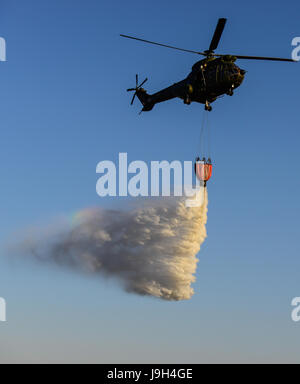 Makhado, Südafrika. 1. Juni 2017. Ein Oryx-Hubschrauber von der South African Air Force (SAAF) gießt Wasser während der 2017 Air Fähigkeit Demonstration nächster Roodewal Luftwaffe Bombardierung in der Provinz Limpopo, Südafrika am 1. Juni 2017. Die SAAF Air Fähigkeit Demonstration fand hier am Donnerstag statt. Die SAAF-Mitglieder wurden in Zusammenarbeit mit der südafrikanischen Armee, South African Military Health Service und spezielle Kraft-Brigade demonstriert. Bildnachweis: Zhai Jianlan/Xinhua/Alamy Live-Nachrichten Stockfoto