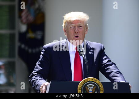 US-Präsident Donald J. Trump macht eine Aussage über das Abkommen von Paris im Rose Garden des weißen Hauses in Washington, DC auf Donnerstag, 1. Juni 2017. Der Präsident hat angekündigt, dass die USA vom Accord zurückziehen wird. Bildnachweis: Ron Sachs / CNP · KEIN DRAHT-SERVICE · Foto: Ron Sachs/Consolidated/dpa Stockfoto