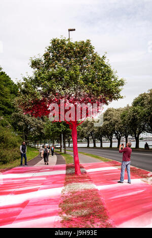 Aarhus (Dänemark). 2. Juni 2017. Kunstinstallation von Katharina hat riesige Reaktionen erstellt, nachdem der deutsche Künstler im Rahmen des Museums für Kunst des ARoS Kunstmuseum auf der Ausstellung "The Garden" einen Abschnitt der urbanen Landschaft Mindeparken mit weißer und roter Acrylfarbe gemalt hat in Aarhus. Bildnachweis: Gonzales Foto/Alamy Live-Nachrichten Stockfoto