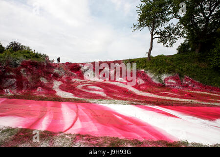 Aarhus (Dänemark). 2. Juni 2017. Kunstinstallation von Katharina hat riesige Reaktionen erstellt, nachdem der deutsche Künstler im Rahmen des Museums für Kunst des ARoS Kunstmuseum auf der Ausstellung "The Garden" einen Abschnitt der urbanen Landschaft Mindeparken mit weißer und roter Acrylfarbe gemalt hat in Aarhus. Bildnachweis: Gonzales Foto/Alamy Live-Nachrichten Stockfoto