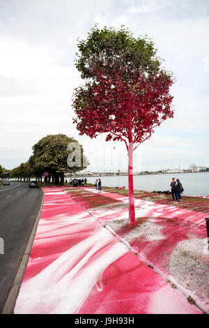 Aarhus (Dänemark). 2. Juni 2017. Kunstinstallation von Katharina hat riesige Reaktionen erstellt, nachdem der deutsche Künstler im Rahmen des Museums für Kunst des ARoS Kunstmuseum auf der Ausstellung "The Garden" einen Abschnitt der urbanen Landschaft Mindeparken mit weißer und roter Acrylfarbe gemalt hat in Aarhus. Bildnachweis: Gonzales Foto/Alamy Live-Nachrichten Stockfoto