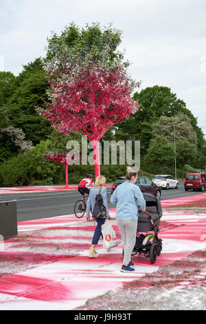 Aarhus (Dänemark). 2. Juni 2017. Kunstinstallation von Katharina hat riesige Reaktionen erstellt, nachdem der deutsche Künstler im Rahmen des Museums für Kunst des ARoS Kunstmuseum auf der Ausstellung "The Garden" einen Abschnitt der urbanen Landschaft Mindeparken mit weißer und roter Acrylfarbe gemalt hat in Aarhus. Bildnachweis: Gonzales Foto/Alamy Live-Nachrichten Stockfoto