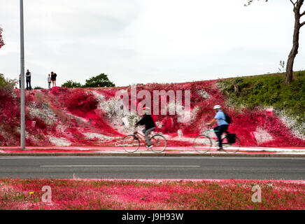 Aarhus (Dänemark). 2. Juni 2017. Kunstinstallation von Katharina hat riesige Reaktionen erstellt, nachdem der deutsche Künstler im Rahmen des Museums für Kunst des ARoS Kunstmuseum auf der Ausstellung "The Garden" einen Abschnitt der urbanen Landschaft Mindeparken mit weißer und roter Acrylfarbe gemalt hat in Aarhus. Bildnachweis: Gonzales Foto/Alamy Live-Nachrichten Stockfoto