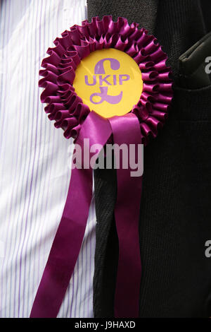 London, UK. 2. Juni 2017. Die UKIP Roselett. Bildnachweis: Dinendra Haria/Alamy Live-Nachrichten Stockfoto