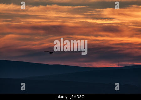 Morecambe, Lancashire, Vereinigtes Königreich. 2. Juni 2017. Blick über Morecambe Bay in Richtung Süden Lakeland Fells kurz nach Sonnenuntergang am späten Abend Sonnenlicht ist das Cloud-Scape über der Bucht Kredit reflektiert: David Billinge/Alamy Live News Stockfoto