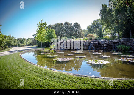 Mehrere Blüten in Dallas Arboretum in Dallas, Texas Stockfoto