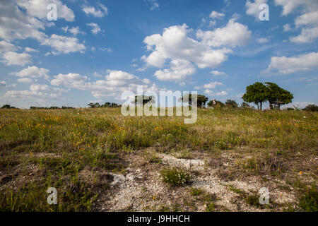 White Rock Lake in Dallas Texas Stockfoto