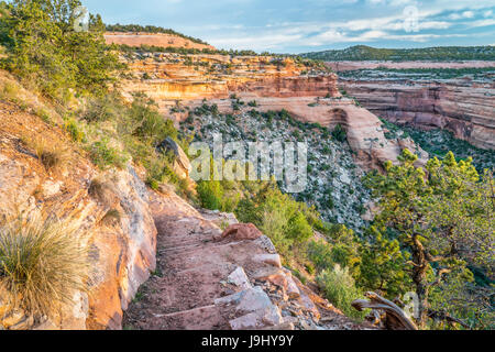 steilen Wanderweg in Ute Canyon in Colorado National Monument, Morgen Frühling Landschaft absteigend Stockfoto